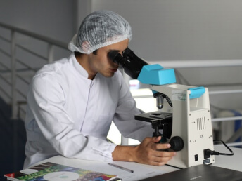 Inicio Pathologycam Testing