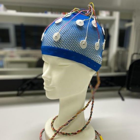 Catalogo EEG egg