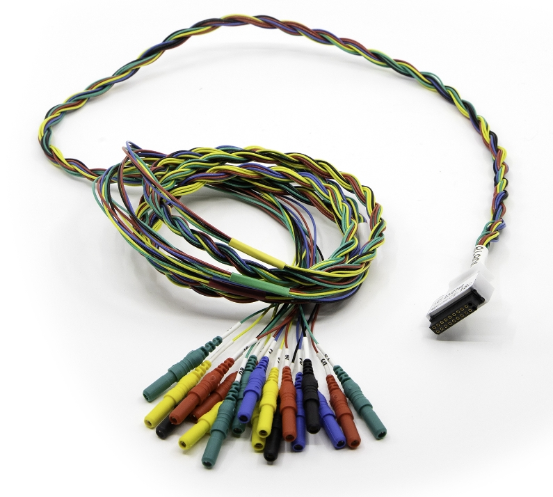 Catalogo SEEG image